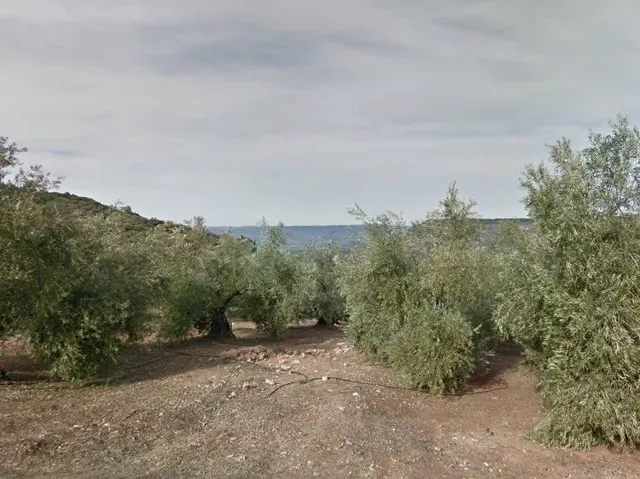 SUELO RÚSTICO NO URBANIZABLE - ZAHARA DE LA SIERRA (CÁDIZ) — 7