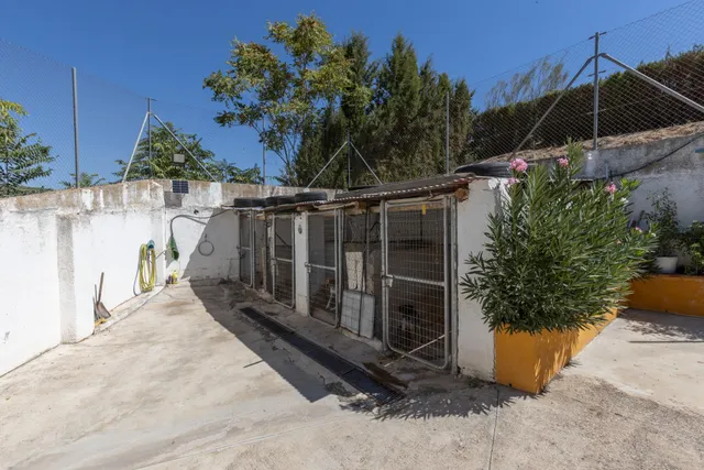 Casa 2 habitaciones 1554m² en venta - Iznalloz — 34