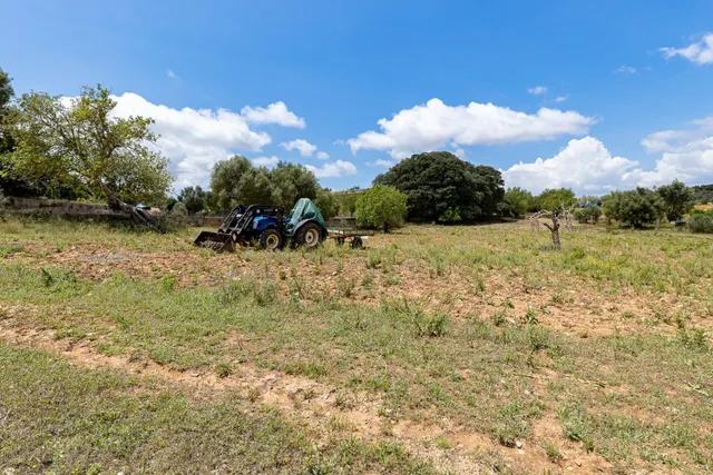 ALGAIDA, MAGNIFICA FINCA RUSTICA DE 121.000 M2 CON CASA — 41