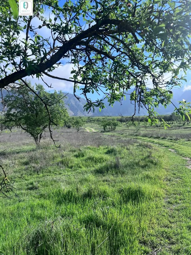 TERRENO RUSTICO EN PADUL — 6