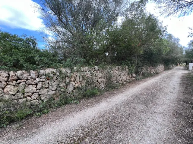 Terreno en Sencelles para construir - foto 4