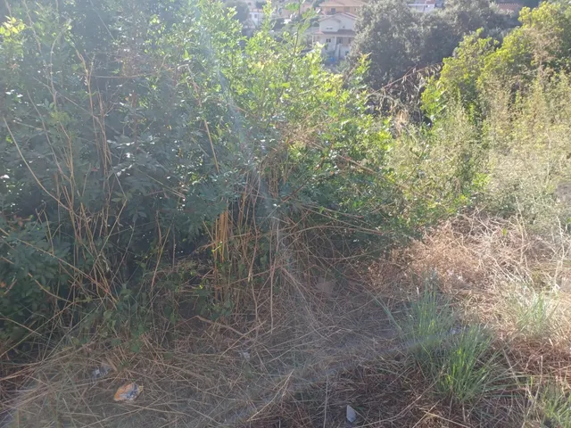 PARCELA EN VENTA DE 832 M2 EN CASTELLET I LA GORNAL URB.LOS ROSALES — 18