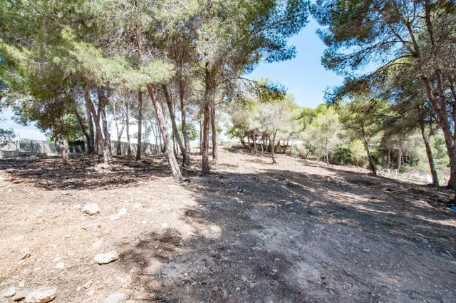 Parcela en venta - Pla del mar — 14