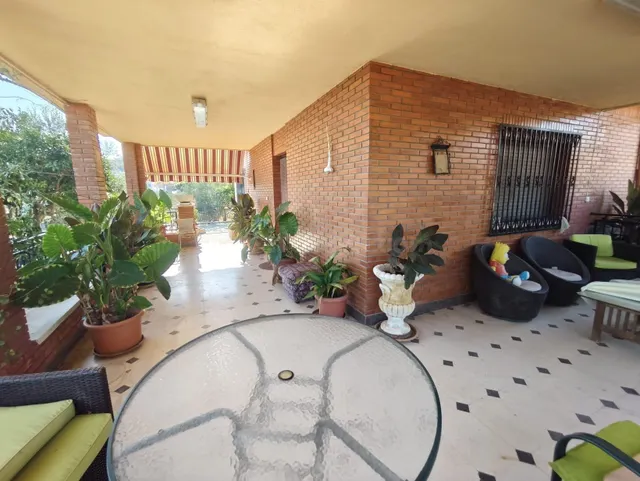 Campo en Sax 14.000 m2 parcela y casa con piscina — 10