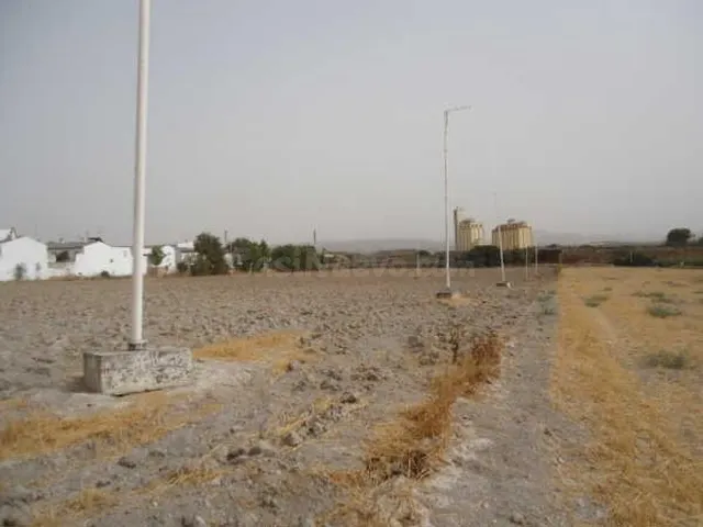 TERRENO EN OSUNA EN POLIGONO GRANADILLO - foto 2