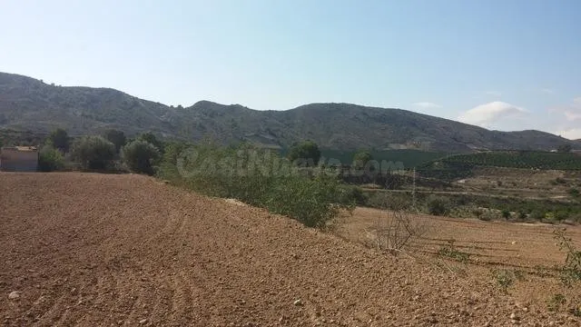 TERRENO RUSTICO EN ORIHUELA TOTALMENTE VALLADO CON NAVE - foto 3