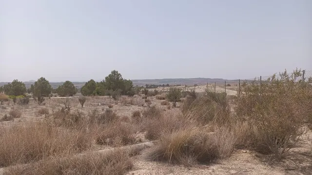 VENTA DE PARCELA EN MOLINA DE SEGURA — 2