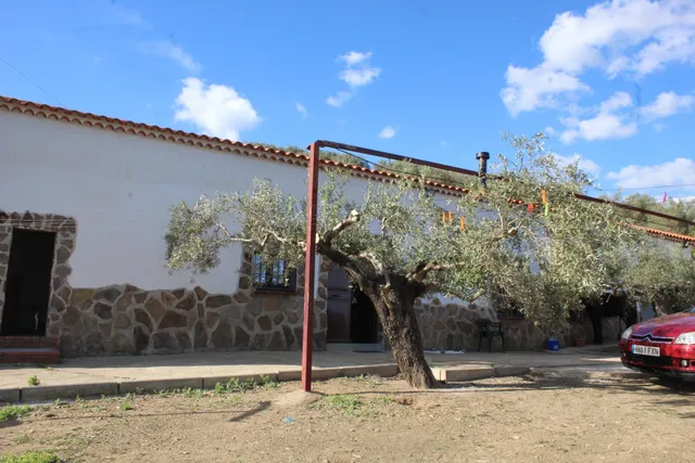 MAGNIFICO OLIVAR CON CASA, COCHERA PARA APEROS Y PISCINA ENTRE VILLAHARTA Y POZOBLANCO. — 6