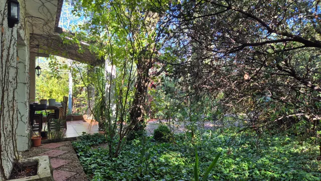 Precioso chalet con espectacular piscina y jardín autóctono — 27