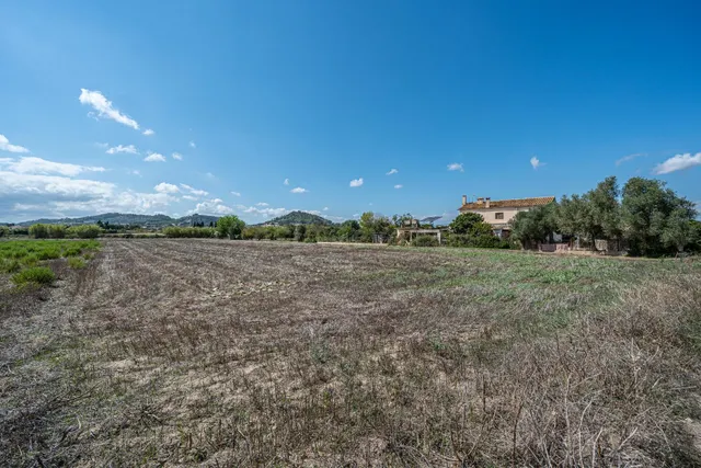 ALQUILER CON OPCION DE COMPRA PARCELA RÚSTICA AGRARIA - foto 5