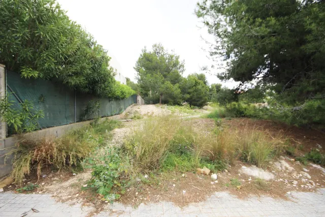 PARCELA EN VENTA EN EL VEDAT - foto 2