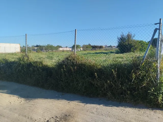 Parcela en Venta en Chiclana de la Frontera - Oportunidad Ún - foto 3