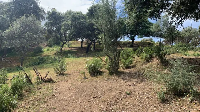Terreno urbano en venta - Calasancio — 13