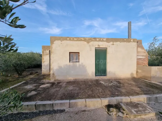 Una oportunidad única para los amantes de la naturaleza - foto 5