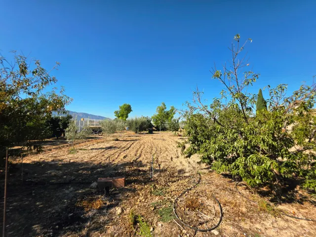 Terreno rural 1 habitación en venta - Sangonera la Seca — 7