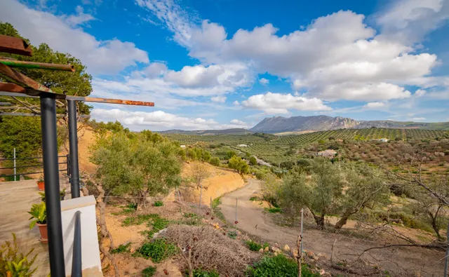 VENTA DE FINCA RUSTICA EN LA ZONA DE LA SIERRA DEL TORCAL — 22