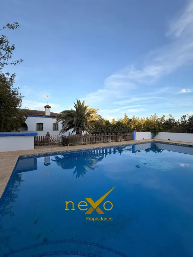 GRAN CHALET LOS FRUTALES DEL ALCOR — 2