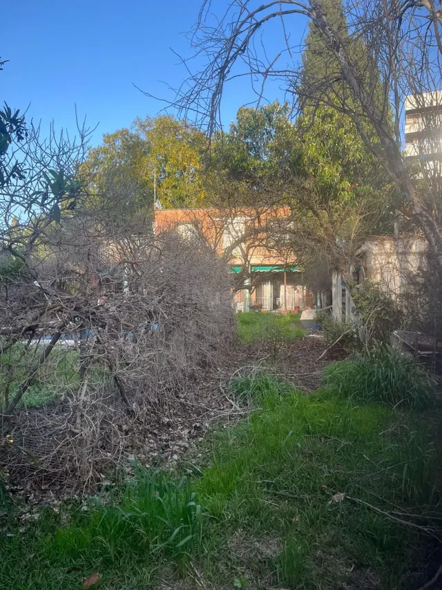 Exclusiva propiedad de 2.012 m2 en santa clara | tres fincas registrales en una de las mejores zonas de Sevilla — 7