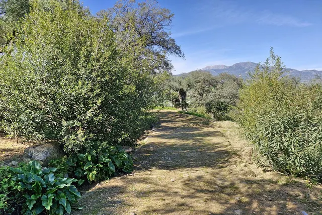 Finca Agrícola 3 habitaciones 163m² en venta - South of spain — 39