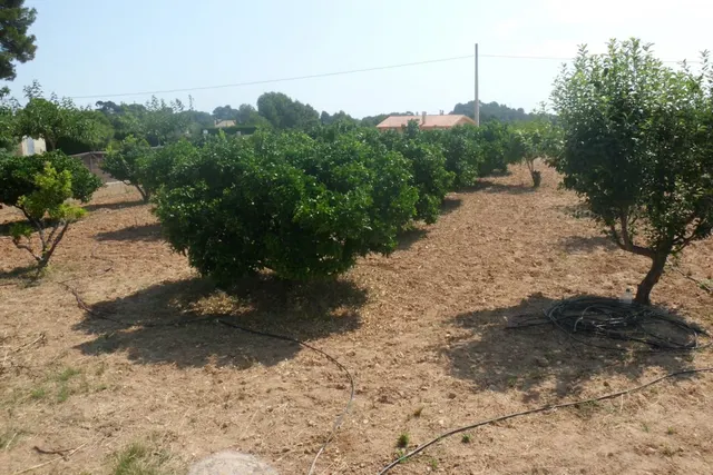 Parcela en Partida La Solana - Ontinyent — 5