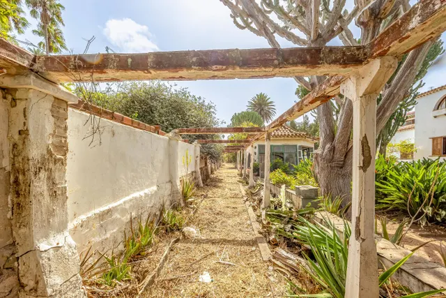 Casa con encanto en tafira, amplia parcela y construcciones auxiliares — 9