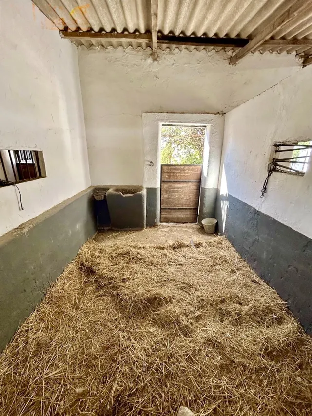 Espectacular finca ecuestre de 32.000 m2 con varias viviendas y piscina en Álora — 26