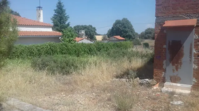 ¡¡¡ Gran Oportunidad de Parcela de 540M2 llana y casa de 25M2  en Urbanización el Olmillo !!! — 7