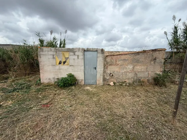 Parcela Rustica en Son Bonet. - foto 5