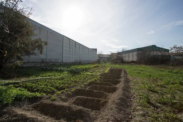 SOLAR INDUSTRIAL EN SANTA FE — 20