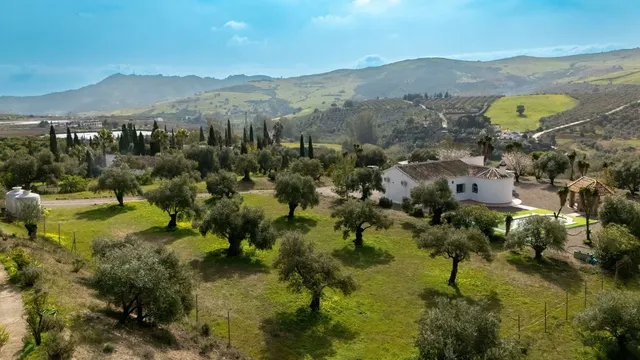 Finca rústica 3 habitaciones 142m² en venta - South of spain — 34