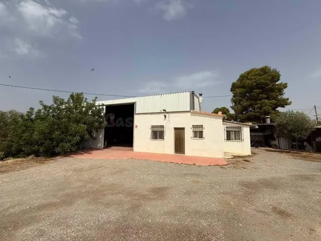Finca rústica con cortijo, nave agrícola, olivar y derechos  - foto 4