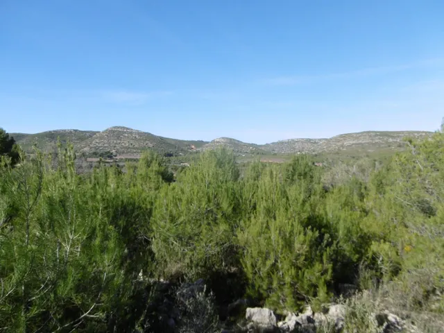 MASIA PARA REFORMAR  CON ALMACENES EN UNA FINCA DE 10 HECTÁREAS — 26
