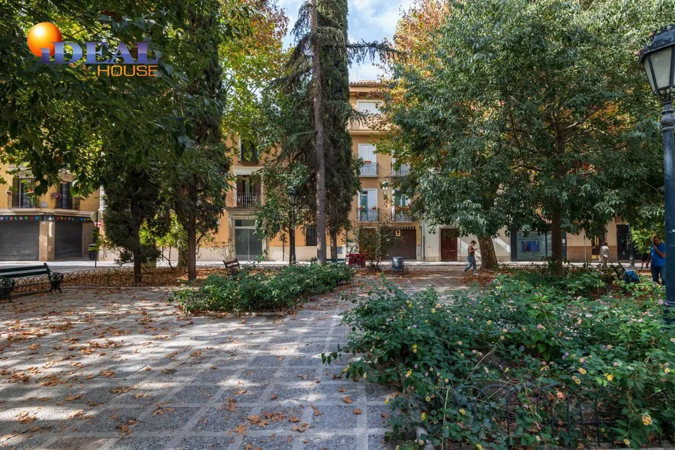FANTASTICA CASA EN PLAZA DE LOS LOBOS