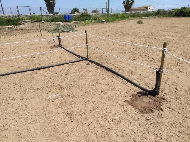 HUERTOS URBANOS EN ALAQUÀS — 18