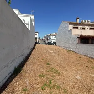 SOLAR 209 M2 PORTICHUELO - foto 4