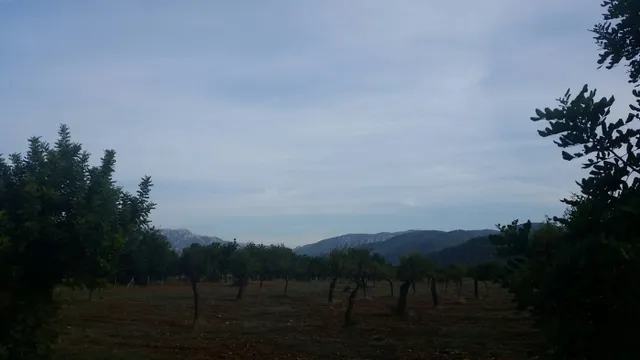 Parcela en bunyola con proyecto de construcción — 3