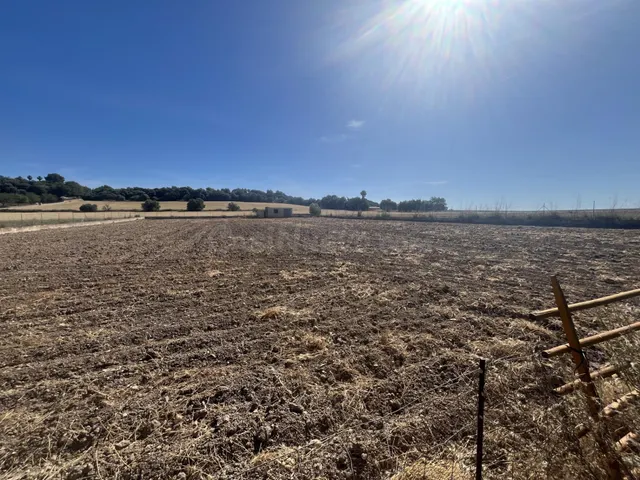 VENTA DE TERRENO RUSTICO EN MURO MALLORCA - foto 3
