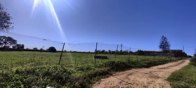 PARCELA RÚSTICA EN ALMENSILLA — 3