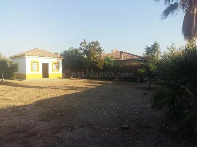 ZONA LA PERLA - Parcela de 1.000m2 con setos. Tiene un salon - foto 4