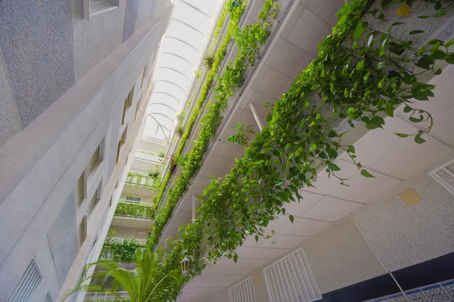 Apartamento de 2 dormitorios en Torrevieja, a 200m de la Playa de Los Locos — 26