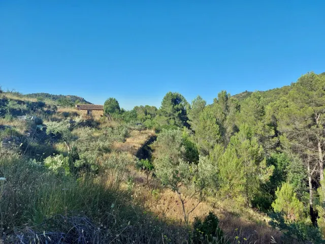 Casa de campo con proyecto para la construcción de una vivienda de 143m2 — 9