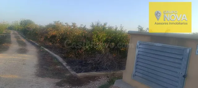 Oportunidad de Inversión: Terreno Rústico con Árboles Frutal - foto 4