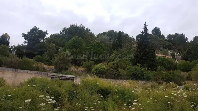 Se vende solar en Galilea con proyecto para vivienda - foto 5