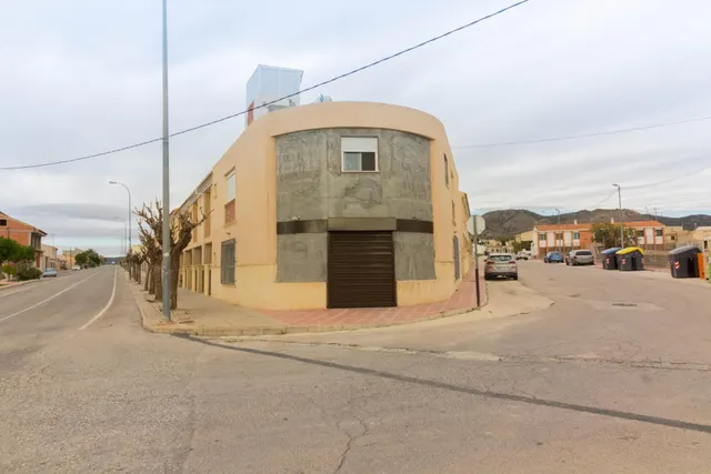 VIVIENDA CON NEGOCIO EN ABANILLA. — 38