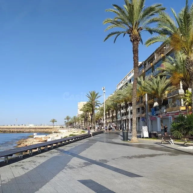 Piso de esquina en el centro de Torrevieja – ¡a solo 400 m del Paseo Marítimo! — 33