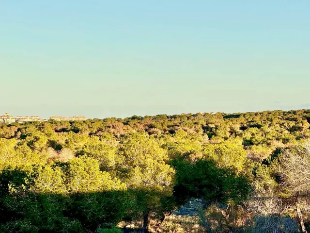 CASA ADOSADA EN EL CHAPARRAL CON 4 HAB 1 BAÑO VISTAS A LA LAGUNA DESDE SOLARIUM PRIVADO — 2
