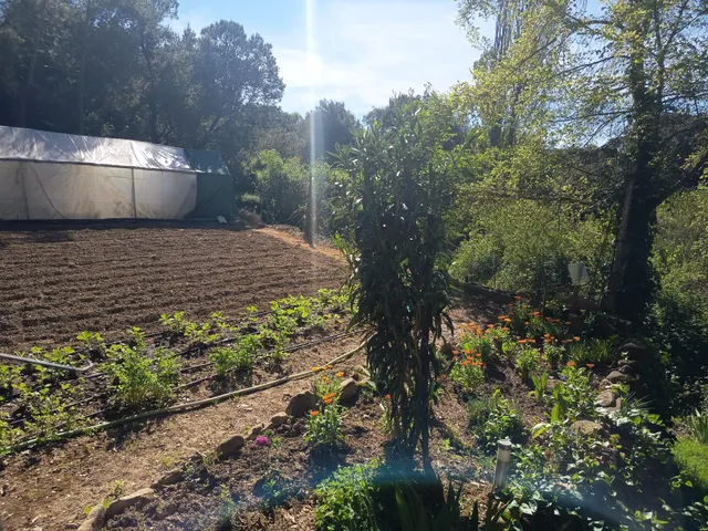 Finca en Sansoáin, 30 " de Pamplona — 7