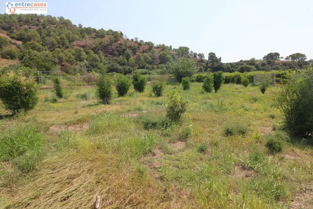 TERRENO DE 2 HANEGADAS ENTRE PETRES Y ALBALAT TARONGERS — 2