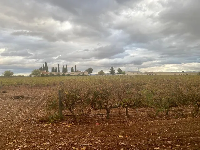 Exclusiva Bodega con Viñedos, Restaurante y Espacios para Eventos en Albacete — 4
