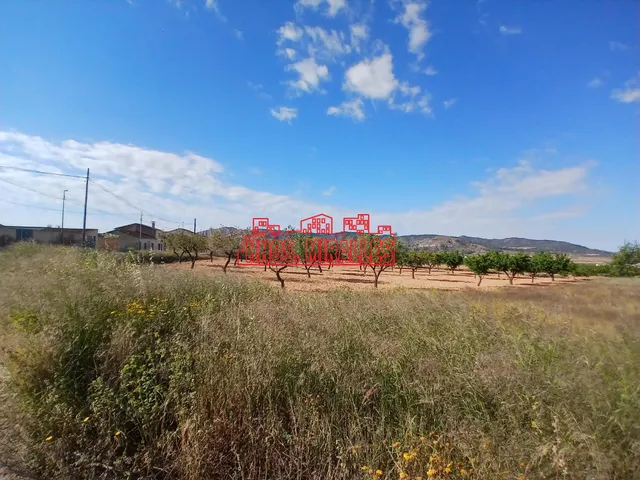 ¡¡ PRECIOSA PARCELA 1979 m2 EN LA ALGUEÑA !! - foto 4